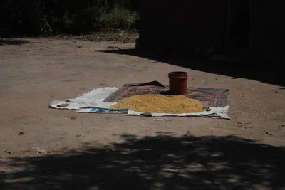 DSC_2766 (Large).JPG